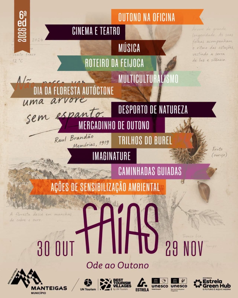 imagem faias